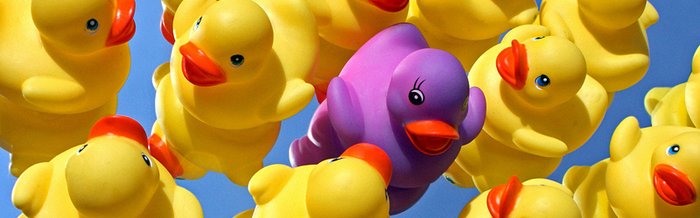 Expat Duck