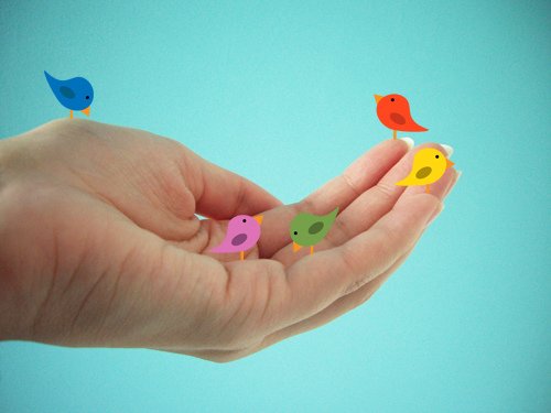 use twitter to increase influence