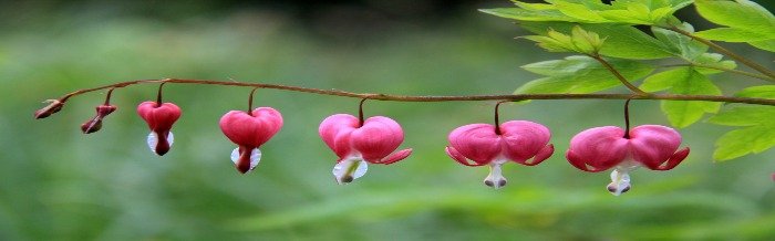 Team Alignment and the Importance of Growth Strategy