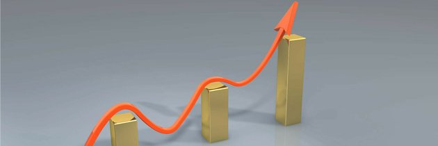 frontier market success