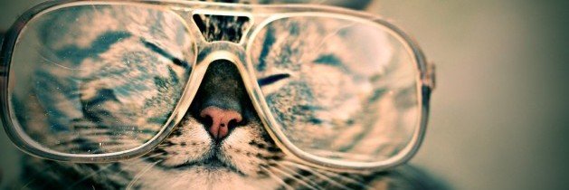 Smarter Than You